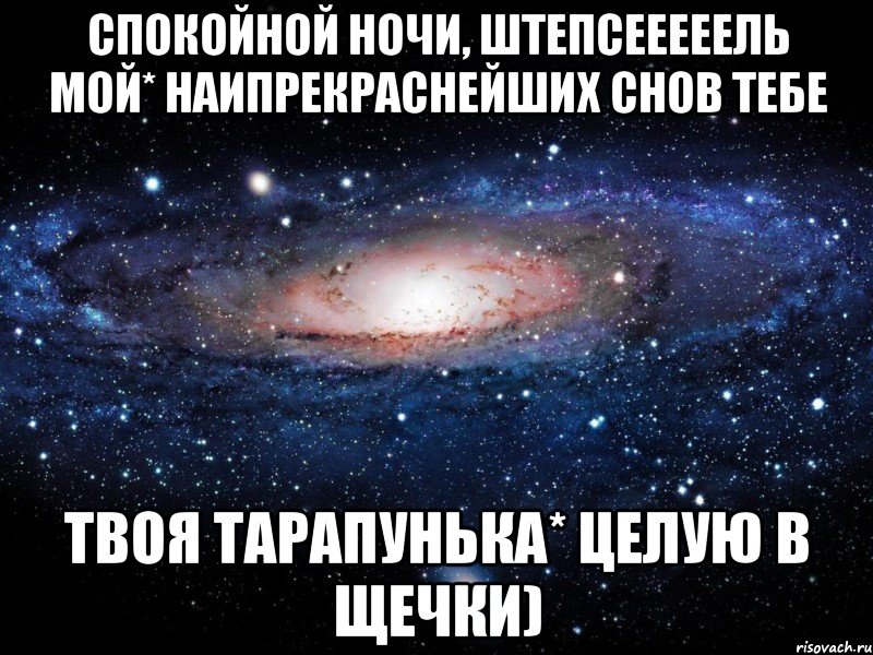 спокойной ночи, Штепсееееель мой* наипрекраснейших снов тебе твоя Тарапунька* целую в щечки), Мем Вселенная