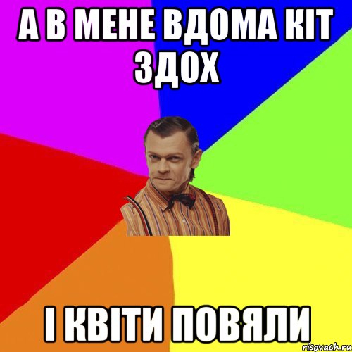 а в мене вдома кіт здох і квіти повяли, Мем Вталька