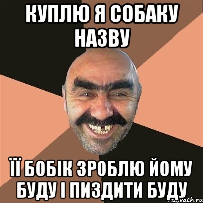 куплю я собаку назву її бобік зроблю йому буду і пиздити буду, Мем Я твой дом труба шатал