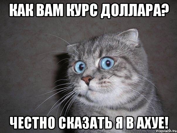 Как Вам курс доллара? Честно сказать я в ахуе!