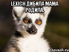 Lexich ДИБИЛА МАМА РОДИЛА. , Мем Я збагоен