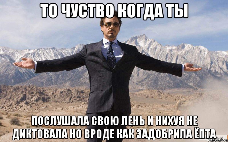 то чуство когда ты послушала свою лень и нихуя не диктовала но вроде как задобрила ёпта, Мем железный человек