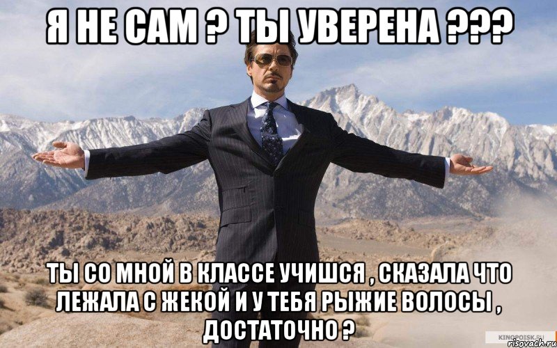 я не сам ? ты уверена ??? ты со мной в классе учишся , сказала что лежала с жекой и у тебя рыжие волосы , достаточно ?, Мем железный человек