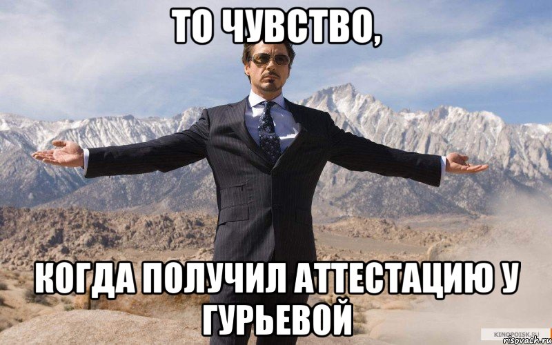 То чувство, когда получил аттестацию у Гурьевой, Мем железный человек