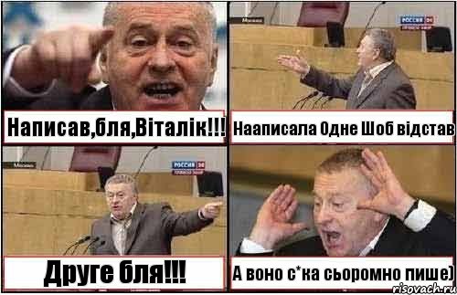 Написав,бля,Вiталiк!!! Нааписала Одне Шоб вiдcтав Друге бля!!! А воно с*ка сьоромно пише), Комикс жиреновский