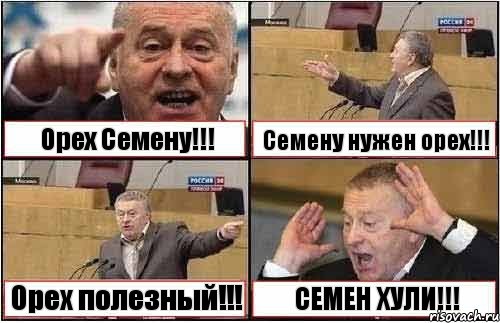 Орех Семену!!! Семену нужен орех!!! Орех полезный!!! СЕМЕН ХУЛИ!!!, Комикс жиреновский