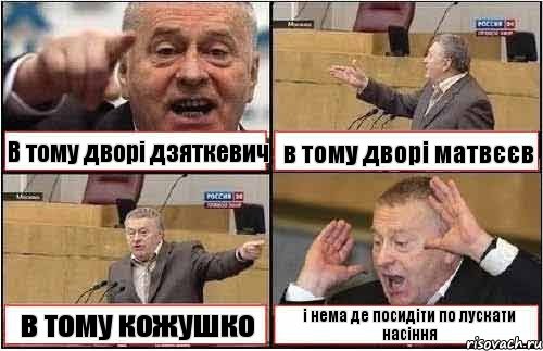 В тому дворі дзяткевич в тому дворі матвєєв в тому кожушко і нема де посидіти по лускати насіння, Комикс жиреновский