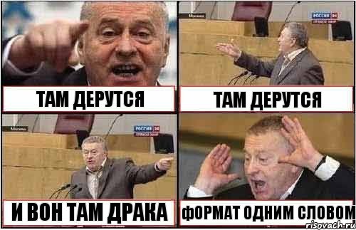 ТАМ ДЕРУТСЯ ТАМ ДЕРУТСЯ И ВОН ТАМ ДРАКА фОРМАТ ОДНИМ СЛОВОМ, Комикс жиреновский