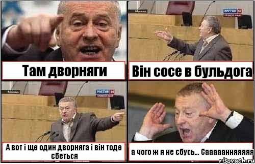 Там дворняги Він сосе в бульдога А вот і ще один дворняга і він тоде єбеться а чого ж я не єбусь... Сааааанняяяяя, Комикс жиреновский