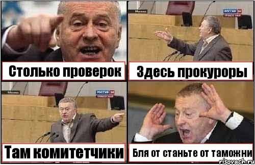 Столько проверок Здесь прокуроры Там комитетчики Бля от станьте от таможни, Комикс жиреновский