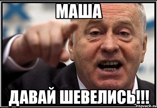 МАША ДАВАЙ ШЕВЕЛИСЬ!!!, Мем жириновский ты