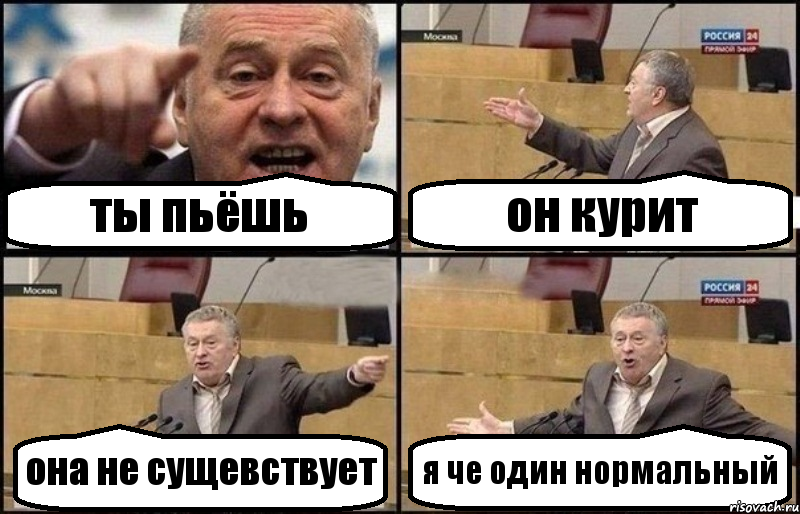 ты пьёшь он курит она не сущевствует я че один нормальный, Комикс Жириновский