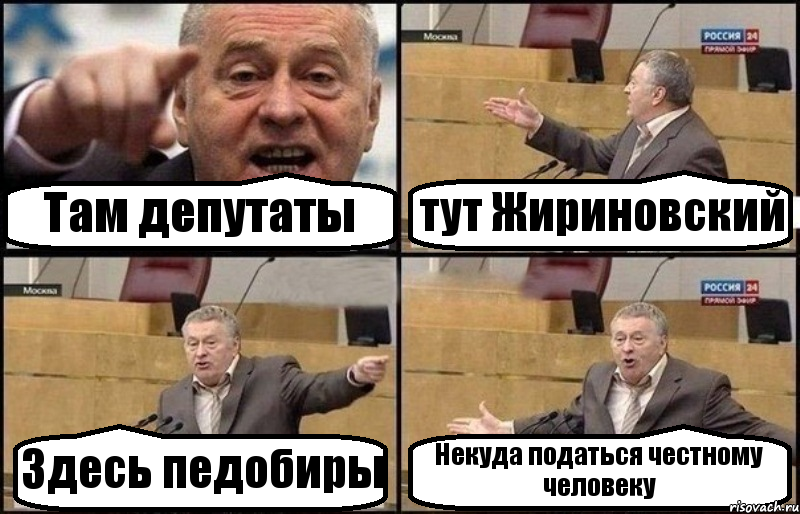 Там депутаты тут Жириновский Здесь педобиры Некуда податься честному человеку, Комикс Жириновский