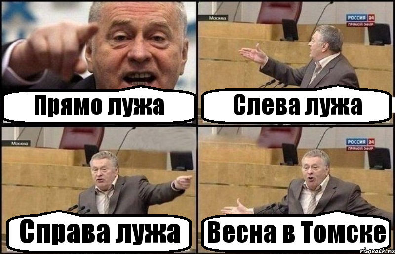 Прямо лужа Слева лужа Справа лужа Весна в Томске, Комикс Жириновский