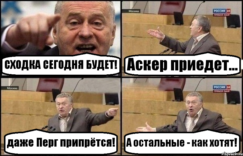 СХОДКА СЕГОДНЯ БУДЕТ! Аскер приедет... даже Перг припрётся! А остальные - как хотят!, Комикс Жириновский