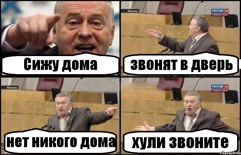 Сижу дома звонят в дверь нет никого дома хули звоните, Комикс Жириновский