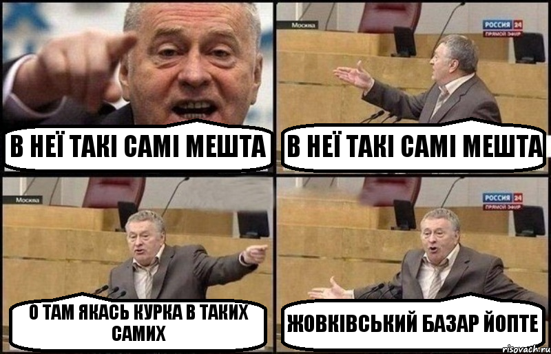 В НЕЇ ТАКІ САМІ МЕШТА В НЕЇ ТАКІ САМІ МЕШТА О ТАМ ЯКАСЬ КУРКА В ТАКИХ САМИХ ЖОВКІВСЬКИЙ БАЗАР ЙОПТЕ, Комикс Жириновский