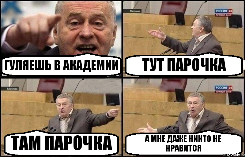 ГУЛЯЕШЬ В АКАДЕМИИ ТУТ ПАРОЧКА ТАМ ПАРОЧКА А МНЕ ДАЖЕ НИКТО НЕ НРАВИТСЯ, Комикс Жириновский