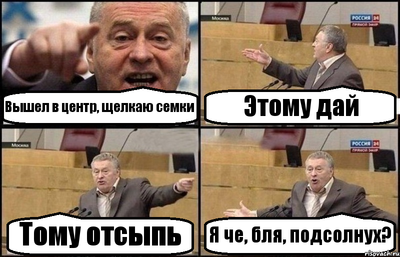 Вышел в центр, щелкаю семки Этому дай Тому отсыпь Я че, бля, подсолнух?, Комикс Жириновский