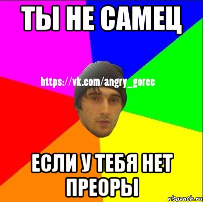 Ты не самец Если у тебя нет преоры