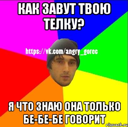 Как завут твою телку? я что знаю она только бе-бе-бе говорит, Мем ЗЛОЙ ГОРЕЦ