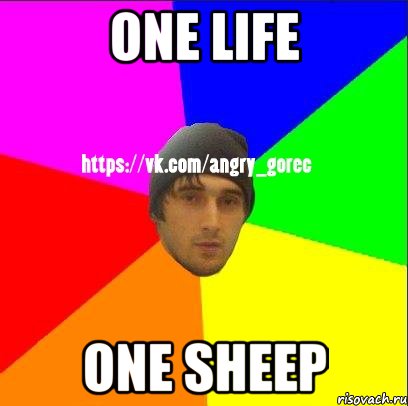 ONE LIFE ONE SHEEP, Мем ЗЛОЙ ГОРЕЦ