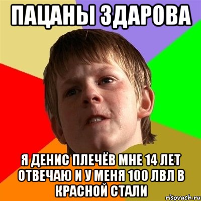 пацаны здарова я денис плечёв мне 14 лет отвечаю и у меня 100 лвл в красной стали, Мем Злой школьник