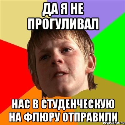 Да я не прогуливал нас в студенческую на флюру отправили, Мем Злой школьник