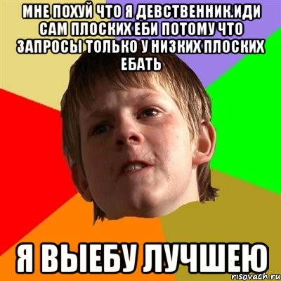 Мне похуй что я девственник.Иди сам плоских еби Потому что запросы только у низких плоских ебать Я выебу лучшею, Мем Злой школьник