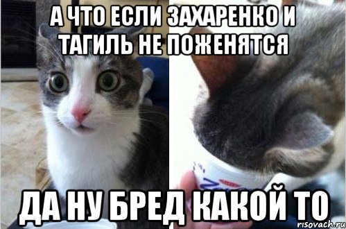 А что если Захаренко и Тагиль не поженятся Да ну бред какой то, Комикс  Да не бред-какой-то (2 зоны)