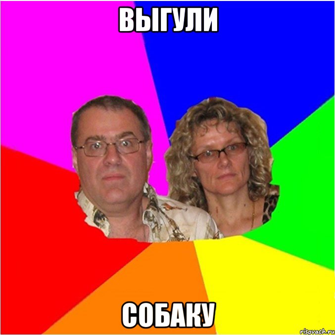 выгули собаку