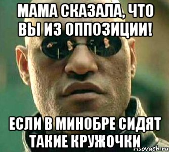 мама сказала, что Вы из оппозиции! если в Минобре сидят такие кружочки, Мем  а что если я скажу тебе