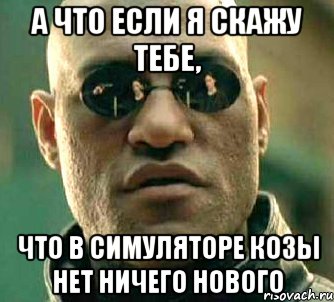 а что если я скажу тебе, что в симуляторе козы нет ничего нового, Мем  а что если я скажу тебе