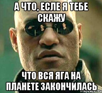 а что, есле я тебе скажу что вся яга на планете закончилась, Мем  а что если я скажу тебе