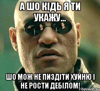 А шо кідь я ти укажу... шо мож не пиздіти хуйню і не рости дебілом!, Мем  а что если я скажу тебе