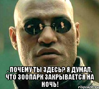  . Почему ты здесь? Я думал, что зоопарк закрывается на ночь!, Мем  а что если я скажу тебе