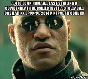 А что если команд EAST Stirling и Cowdenbeath не существует а это давид создал их в ФИФЕ 2014 и играет в Соньку , Мем  а что если я скажу тебе