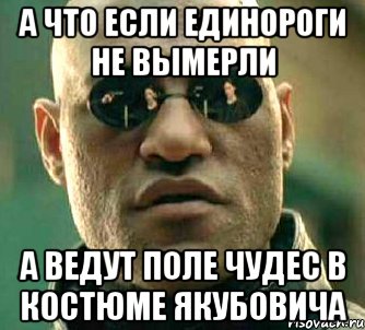 А что если единороги не вымерли А ведут поле чудес в костюме якубовича, Мем  а что если я скажу тебе