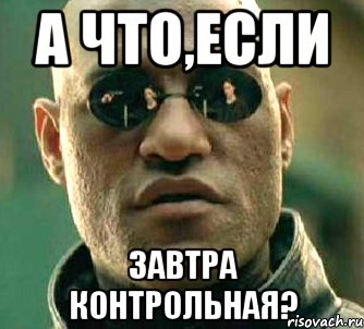 А что,если завтра контрольная?, Мем  а что если я скажу тебе