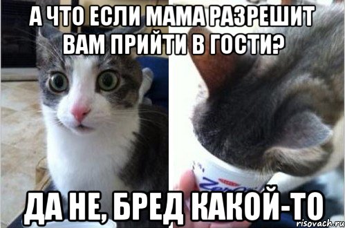 А что если мама разрешит вам прийти в гости? Да не, бред какой-то, Комикс  Да не бред-какой-то (2 зоны)