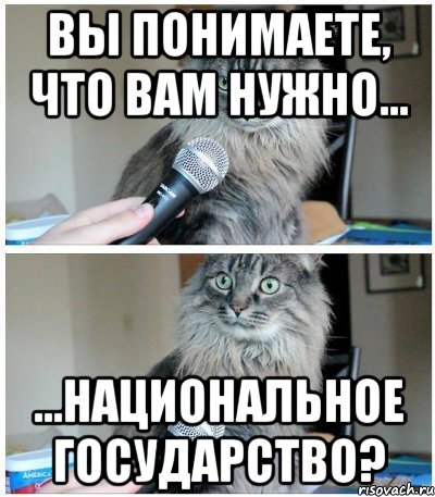 Вы понимаете, что Вам нужно… …национальное государство?, Комикс  кот с микрофоном