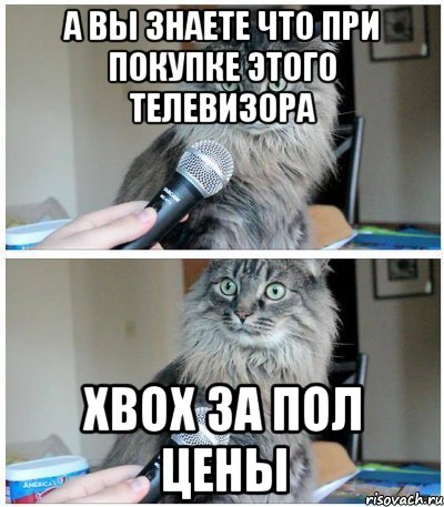 а вы знаете что при покупке этого телевизора Xbox за пол цены, Комикс  кот с микрофоном