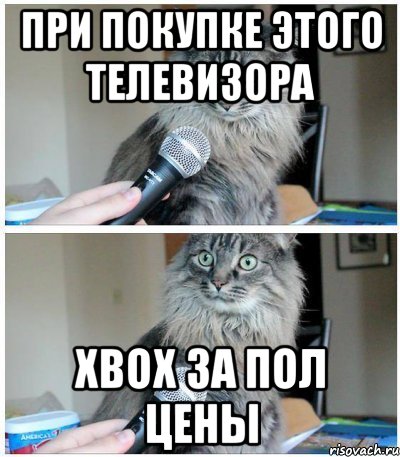 при покупке этого телевизора Xbox за пол цены, Комикс  кот с микрофоном