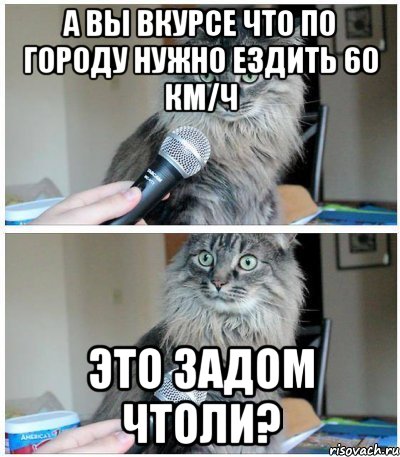 а вы вкурсе что по городу нужно ездить 60 км/ч это задом чтоли?, Комикс  кот с микрофоном