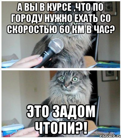 А вы в курсе ,что по городу нужно ехать со скоростью 60 км в час? Это задом чтоли?!, Комикс  кот с микрофоном