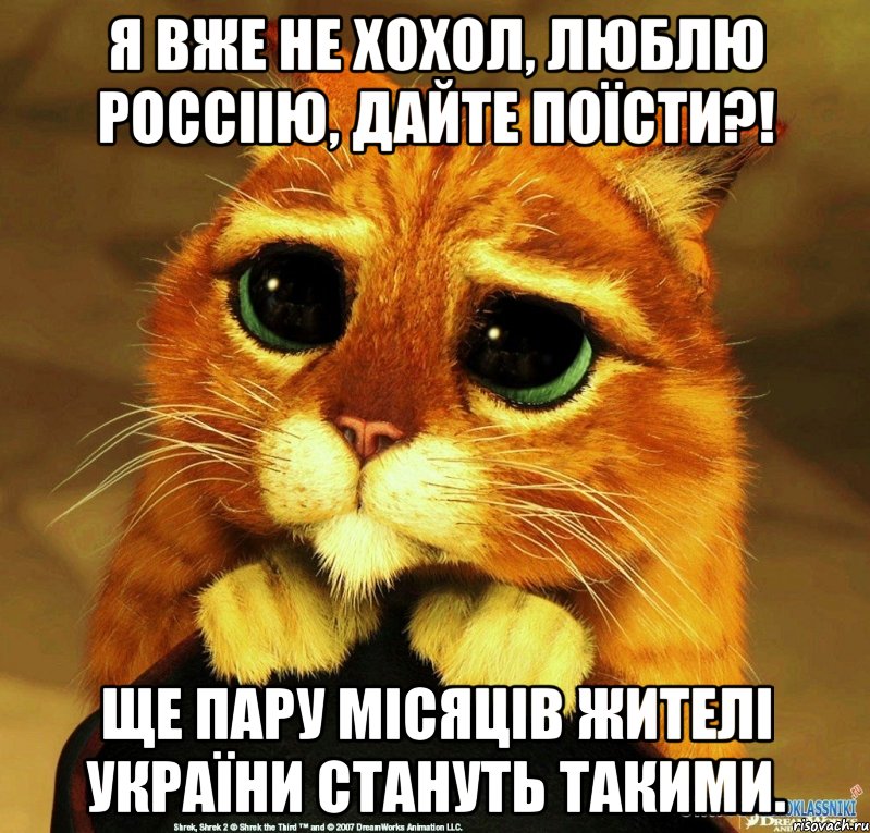 Я ВЖЕ НЕ ХОХОЛ, ЛЮБЛЮ Россіію, ДАЙТЕ ПОЇСТИ?! ЩЕ ПАРУ МІСЯЦІВ ЖИТЕЛІ УКРАЇНИ СТАНУТЬ ТАКИМИ., Мем Котик из Шрека