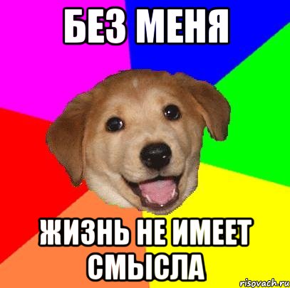 без меня жизнь не имеет смысла, Мем Advice Dog