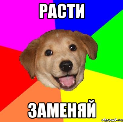 Расти Заменяй, Мем Advice Dog