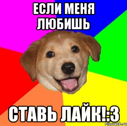 Если меня любишь Ставь лайк!:3, Мем Advice Dog