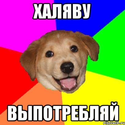 ХАЛЯВУ ВЫПОТРЕБЛЯЙ, Мем Advice Dog